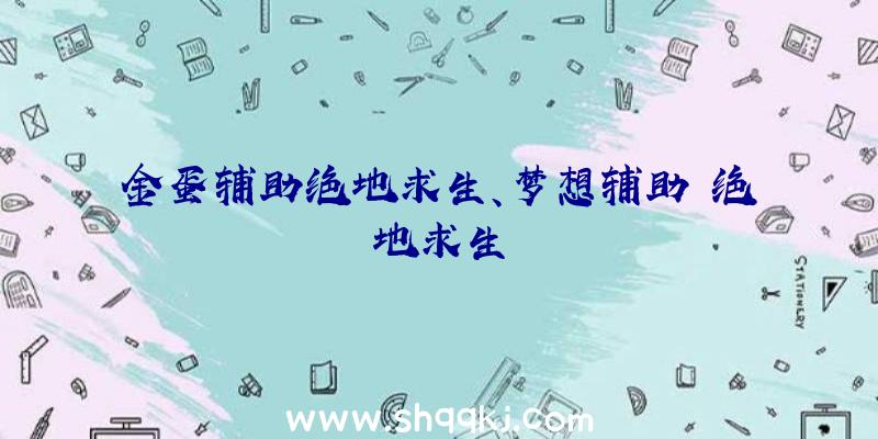 金蛋辅助绝地求生、梦想辅助